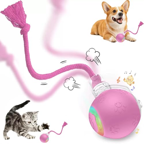 FUNNYDUCK Speed 2.0 Tail Interactive Cat Toy – Motion-Activated Rolling Ball with Chirping Sounds, USB Rechargeable Smart Ball Toy for Indoor Cats & Kittens, Enrichment & Exercise - color: Pink