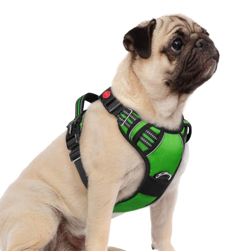 rabbitgoo Dog Harness Small Sized, No Pull Dog Vest with 3 Buckles, Adjustable Soft Padded Pet Harness with Easy Control Handle and Reflective Strips, Green, S - color: Green, size: Small