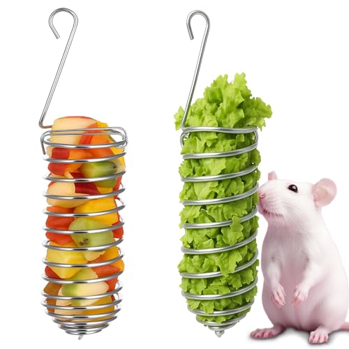 2Pcs Rat Enrichment Toys Stainless Steel Bird Food Holder Rat Parrot Foraging Toy Hanging Rodent Toy Fruit Vegetable Holder Puzzle Toy Slow Feeder Parakeet Foraging Mice Cage Accessories