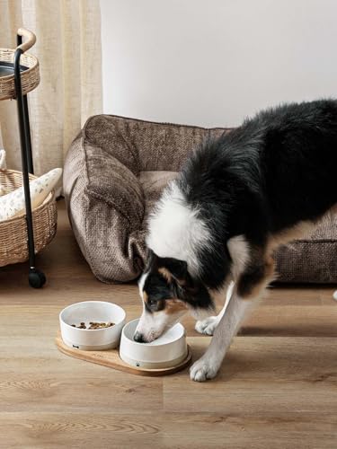 LE TAUCI PET Ceramic Dog Bowls for Medium and Small Dogs - 3.2 Cup Weighted Non-Slip Food and Water Bowls with Acacia Wood Tray, Pet Bowl Set of 2 - size: M-3.2 Cups