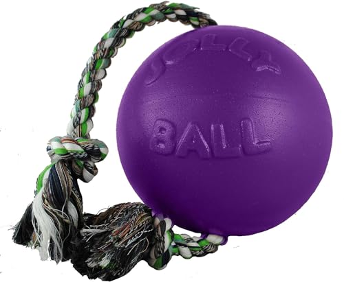 Jolly Pets Romp-n-Roll Rope and Ball Dog Toy, 4.5 Inches/Small, Purple, 4.5-Inch Romp-n-Roll, Purple - color: Purple, size: Small (4.5 in)