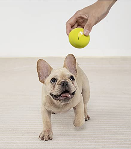 Squeaky Dog Ball, Latex Cute Dog Toys for Puppy and Small Dogs Soft Rubber Fetch Play Catch Ball Bounce and Funny Squeak Pet Toys - color: 2.2“ Fruit&Crown - 6 Pack, size: Small