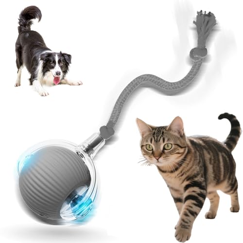 Jiexily Interactive Cat Toys for Indoor Cats, 2025 New Motion Activated Cat Balls with 360° Smart Automatic Rolling Moving for Bored Pet Cats Dogs (Gray) - color: Gray