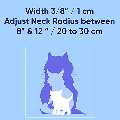Pawtitas Reflective Purple Cat Collar with Safety Buckle and Removable Bell for Kitten and Cats Orchid - color: Reflective Orchid