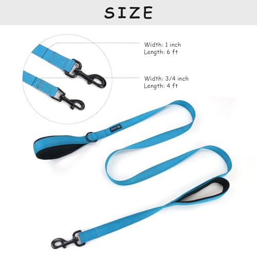 Wagtime Club Double Handle Dog Leash, 6ft Long Heavy Duty Dog Leash with Paded Traffic Handles for Extral Control and Training, Dual Handles Leads, Large Medium Small Dogs (Bright Blue) - color: Bright Blue