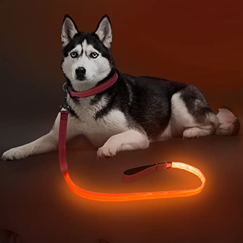 Colaseeme Light Up Dog Leash, LED Pet Leashes USB Rechargeable, Glow Safety Dogs Lights at Night (4FT,Orange) - color: Orange, size: 4FT