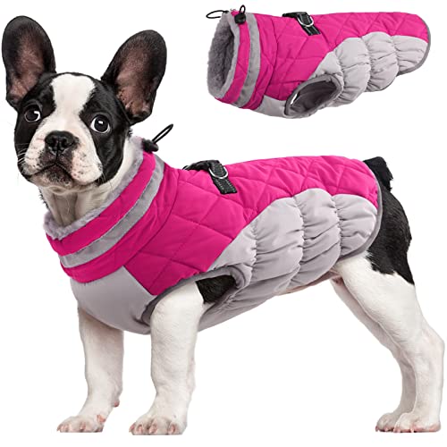 FUAMEY Dog Coat for Small Dogs,Waterproof Dog Winter Jacket with Harness Built in Puppy Cold Weather Coats Reflective Pet Vest with Zipper Warm Fleece Dogs Snowsuit Windproof Pink XS - color: Rose Red, size: XS(chest:14in)