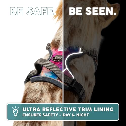 Embark Adventure Medium Dog Harness – No-Pull, Reflective Trim, Military-Grade Nylon, Front Clip with Gel-Lined Handle - color: Maverick, size: M
