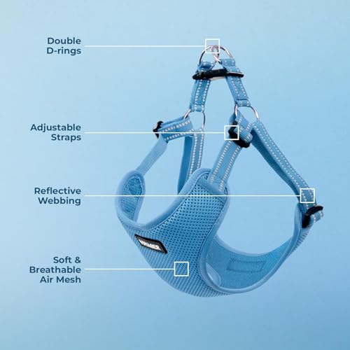Best Pet Supplies Voyager Adjustable Step-In Flex Breathable Mesh Dog Harness for Small Medium Large Dogs (Baby Blue), S - color: Harness (Baby Blue), size: S
