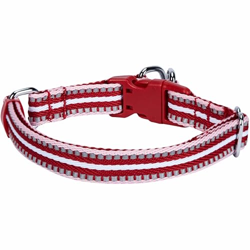 Blueberry Pet Safety Dog Collar with Dual D-Rings | 3M Reflective Multi-Colored Adjustable Collar in Marsala Red and Pink | Soft Nylon Dog Collar for Active Small Dogs