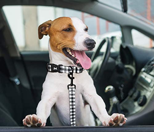 PoyPet 5 Feet Dog Leash - 2 Cushioned Handles - Functional Car Seat Belt (Grid, L) - color: Grid