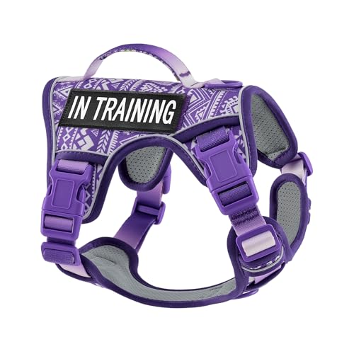 AUNZO Dog Harness for X-Small Dog Breed, Light Pet Vest Harness with 2 Leash Clips and 3 Buckles, Easy to Wear, Adjustable Reflective Soft Padded, Boston Terrier, Beagle, Poodles, XS - color: Purple Ethnic, size: Extra Small