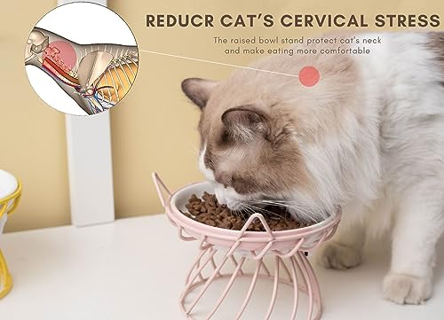 2PCS Ceramic Shallow Cat Food Dishes with Non-Slip Mat, Elevated Cat Food Bowl with Raised Metal Stand, Small Dog Bowl, Whisker Fatigue Pet Food Plate, Dishwasher Safe - color: Pink+Blue