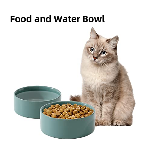 Havniva Cat Bowls Water Bowl Set of Two, 5.1” Ceramic Cat Food and Water Bowl Whisker Friendly Pet Food Bowls for Indoor Cats, Wide Cat Water Dish Prevent Whisker Fatigue Non Slip Cat Feeder - color: 2 x Bowl - Dark Green