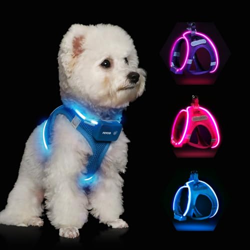 Light Up Dog Harness,Rechargeable LED Dog Harness for Small Medium Large Dogs,Reflective Lighted Safety Vest for Night Walking & Camping,Lightweight & Adjustable,Blue,XS - color: Blue, size: XS
