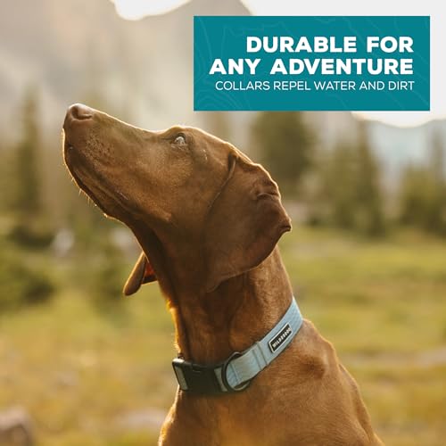 Wilderdog Waterproof Dog Collar - Repels Water & Dirt - Medium 13"-18" - Saltwater - color: Saltwater, size: Medium