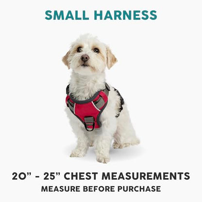 Embark Adventure Small Dog Harness – No-Pull, Reflective Trim, Military-Grade Nylon, Front Clip with Gel-Lined Handle - color: Red, size: S