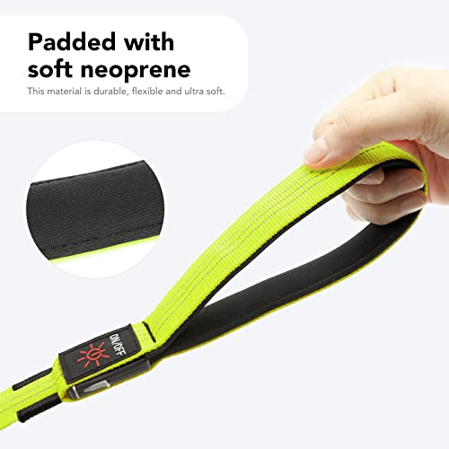 Colaseeme Light Up Dog Leash, LED Pet Leashes USB Rechargeable, Glow Safety Dogs Lights at Night (4FT,Green & Reflective Wires) - color: Green & Reflective Wires, size: 4FT