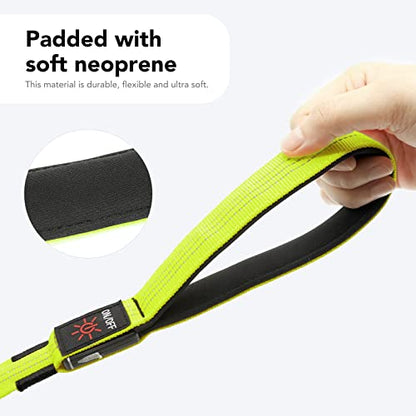 Colaseeme Light Up Dog Leash, LED Pet Leashes USB Rechargeable, Glow Safety Dogs Lights at Night (4FT,Green & Reflective Wires) - color: Green & Reflective Wires, size: 4FT