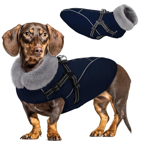 Queenmore Dog Jackets for Large Dogs, Dog Coat with Harness Built in,Waterproof Dogs Coats with Zipper On Back,Warm Fleece Lining Cold Weather Pet Coats with Furry Collar for Labrador,NavyBlue,L - color: Navy Blue, size: Large
