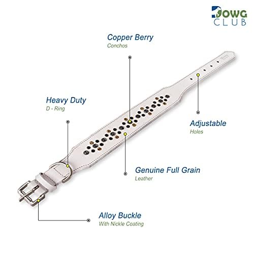 Genuine Leather ‘Cupola’ Series White Dog Collar | Rhinestone | Soft, Cushion Padding, Handmade | Best for Medium, Large, XL Breeds(XL (Neck Size 22.5"-25.5"), White, Antique Copper Conchos) - color: White, Antique Copper Conchos, size: XL (Neck Size 22.5