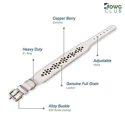 Genuine Leather ‘Cupola’ Series White Dog Collar | Rhinestone | Soft, Cushion Padding, Handmade | Best for Medium, Large, XL Breeds(XL (Neck Size 22.5"-25.5"), White, Antique Copper Conchos) - color: White, Antique Copper Conchos, size: XL (Neck Size 22.5