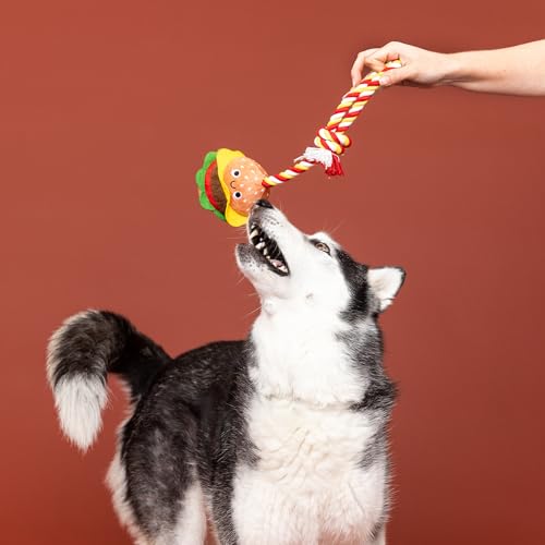 Fringe Studio Plush Dog Toy with Rope, You’RE The BUN That I Want, Pet Shop Collection (314527) - color: You’Re The Bun That I Want