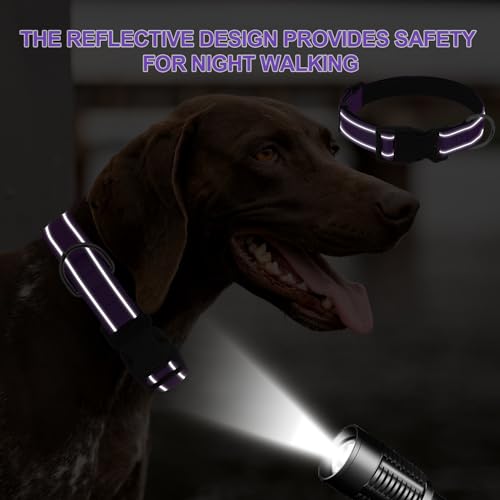 Dog Collars Adjustable for Small Dogs,Heavy Duty Waterproof Dog Collar with Quick Release Buckle,Girl Boy Female Male Reflective Nylon Dog Collar with Soft Neoprene Padded,S,Purple - color: Purple, size: Small