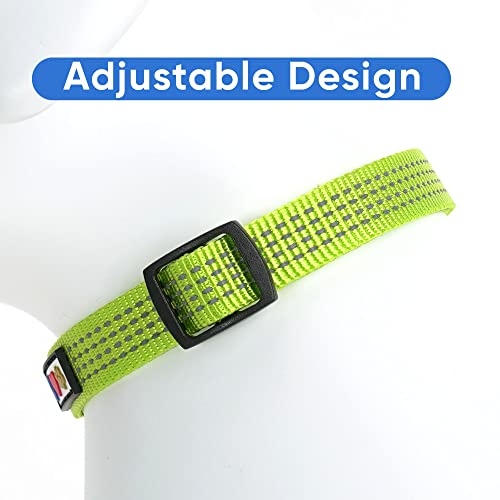 Pawtitas Reflective Dog Collar for X-Small Dogs – Adjustable Nylon Puppy Collar with Quick-Release Buckle | Fits Neck 8–13 in | Night Safety Training Collar | XS | Green - color: Green, size: X-Small (Pack of 1)