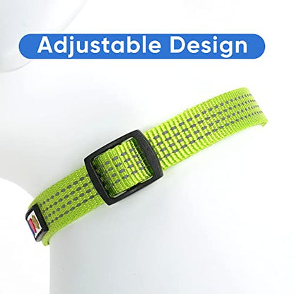 Pawtitas Reflective Dog Collar for X-Small Dogs – Adjustable Nylon Puppy Collar with Quick-Release Buckle | Fits Neck 8–13 in | Night Safety Training Collar | XS | Green - color: Green, size: X-Small (Pack of 1)