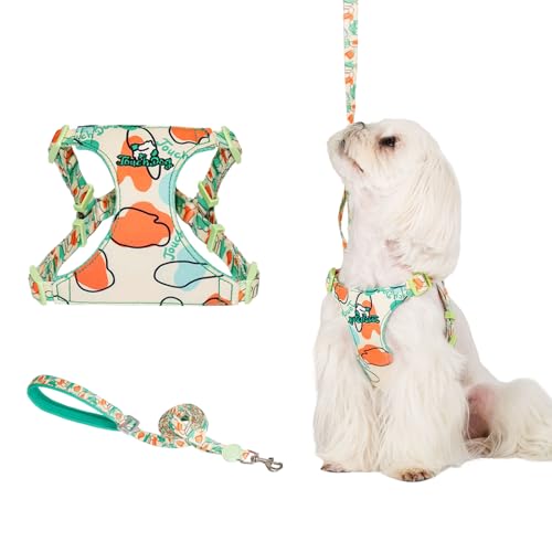 Touchdog Artist Series Y-Shape Dog Harness, 70g Ultra-Lightweight Breathable Air-Layer Vest with Soft Padded Chest, No-Pull Adjustable Harness for Small Medium Dogs (Green, M) - color: Green, size: M