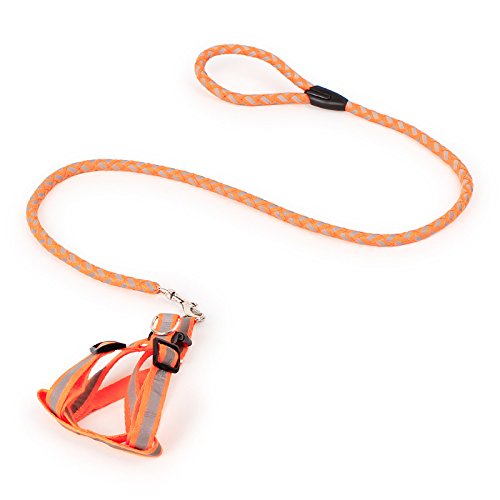 Dog Leash Reflective Glow in the Dark Durable Lightweight Rope for Night Walking and Outdoor Safety - color: Orange