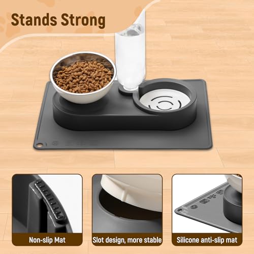 2-in-1 Dog Bowl, Elevated Cat Food and Water Bowl with No-Spill Mat, 15° Tilt Stainless Steel Dish + 500ml Leak-Proof Bottle, Easy Clean Design (Dry/Wet Food & Water)
