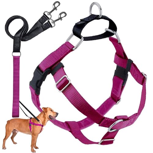 2 Hounds Design Freedom No Pull Dog Harness, Adjustable Harness and Leash Set, Easy Walking & Comfortable Control, Fits Small, Medium & Large Dogs, Solid Colors, Made in USA, 1" XL, Raspberry - color: Raspberry, size: XL (Chest 32"- 38")
