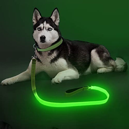 Colaseeme Light Up Dog Leash, LED Pet Leashes USB Rechargeable, Glow Safety Dogs Lights at Night (4FT,Green & Reflective Wires) - color: Green & Reflective Wires, size: 4FT