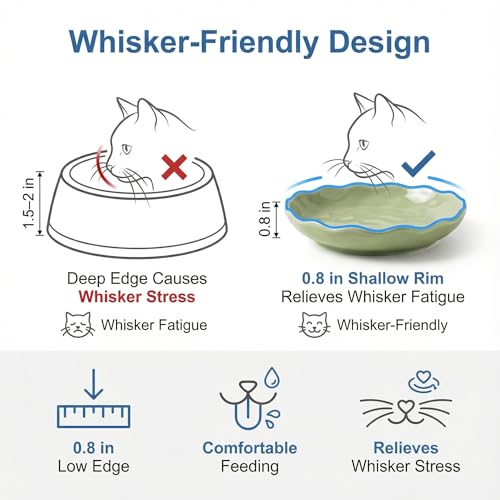 Shallow Cat Bowls 6 Pack – Whisker Friendly Ceramic Cat Dishes for Wet & Dry Food, Dishwasher Safe - color: Green