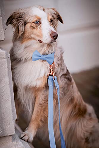 Soft Leather Bowtie Dog Collar - Adjustable Cute Bow Tie Collar [Easy to Clean] with Stylish Rose Gold Heavy Duty Metal Buckle for Small Medium Large Dogs Blue M - color: Blue, size: M(13.8"-19.7")