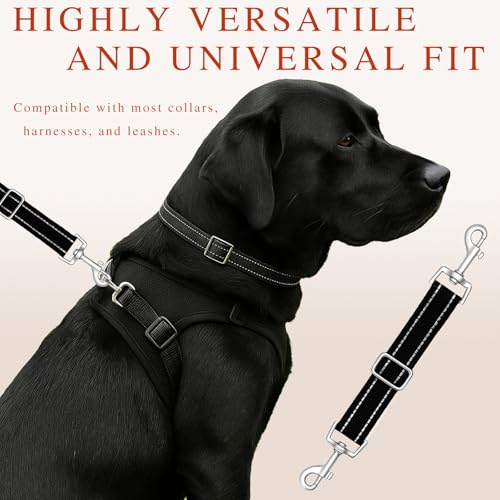 Dual-Clasp Dog Collar Safety Connector, No-Pull Harness-to-Collar Clip, Pet Extension Leash for Training & Walking