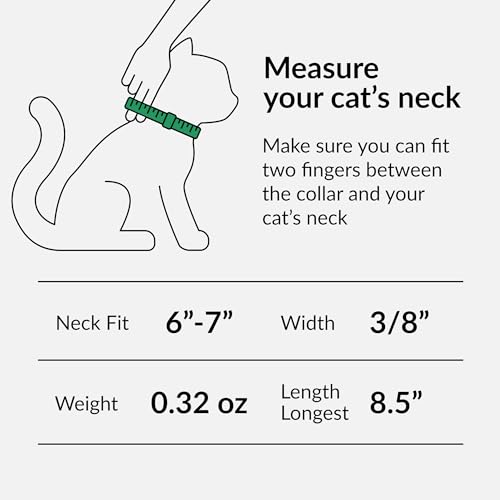 CollarDirect Leather Cat Collar with Removable Bell – Safety Elastic Strap (Breakaway Alternative) – Kitten Collar for Small & Big Boy & Girl Cats - color: Black, size: 6-7 Inch