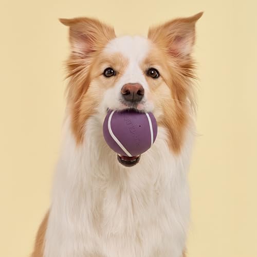 Playology Dog Toys | Squeaky Chew Ball - Bouncy Durable Floating Fetch Ball for Dogs | Jumbo Bacon Scented Toy - Easy to Clean and Made from Non Toxic Materials - size: Jumbo, style: Bacon