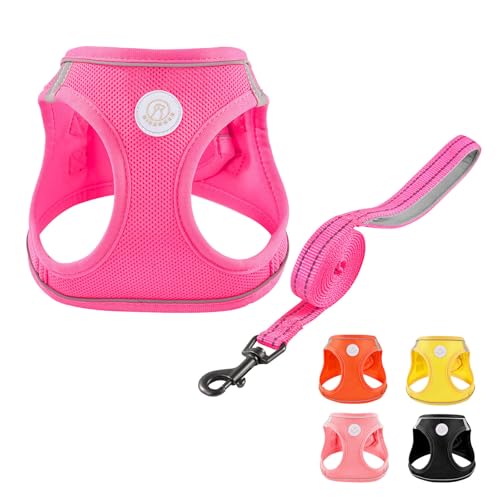 Soft Mesh Dog Harness and Leash Set, No Pull Puppy Harness and Leash Set, Reflective Step in Harness for Small Medium Dogs, Easy Walk Escape Proof Vest Harnesses (Rose Red, XXS) - color: Rose Red, size: XXS