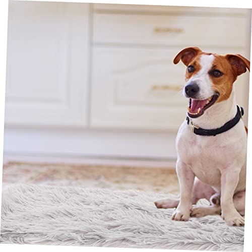 KESYOO Plush Pet Mat Comfortable Crate Cushion for Dogs Cats Soft Durable Sleeping Mat for Indoor Outdoor Use Washable Cozy Floor Blanket Light Gray s