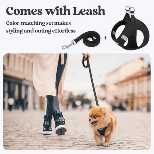 rabbitgoo Dog Harness Small Sized and Leash Set, Step in Soft Light Puppy Vest, Breathable Mesh Pet Harness, Reflective for Safe Easy Walking, Black XS - color: Black, size: Xs (chest: 13.3 - 15.5")