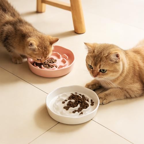 Small Slow Feeder Cat Bowls 4PCS Anti-Choking Puzzle Slow Feeding Dog Bowls with Non-Slip Base, Interactive Slow Feeder for Small Breeds, Bloat Prevention Maze Dish, 1 Cup Capacity