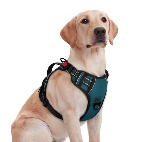 rabbitgoo Dog Harness for Large Dogs, No Pull Pet Harness with Soft Padded Handle, Adjustable Reflective Vest with 3 Buckles, Easy Walking Harness with 2 Leash Clips, Green, M - color: Green, size: Medium