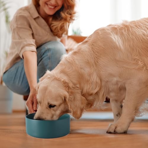 8'' Ceramic Dog Bowl - 70Oz Classic Dogs Food & Water Bowl for Medium and Large Breeds, Heavy-Duty Non-Slip Dog Dish, Food Grade Stoneware Pet Bowl, Dishwasher & Microwave Safe, Green - color: Bowl - Green, size: 8 inch