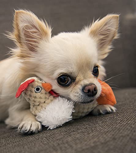 goDog Checkers Just For Me Fat Rooster Squeaky Plush Dog Toy, Chew Guard Technology - White, Mini - color: Checkers - Fat Rooster (White), size: Mini