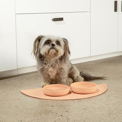 Should We Go? Slow Feeder for Dogs & Cats, The Slowdown Bowl Silicone Slow Eating Mealtime Solution with Modern Lick Mat Design, Reduces Gulping, Fits 1 Cup, 6” Across x 1.25” Tall, Small-Blush - color: Blush - Rainbow Design, size: Small (6” Across x 1.2