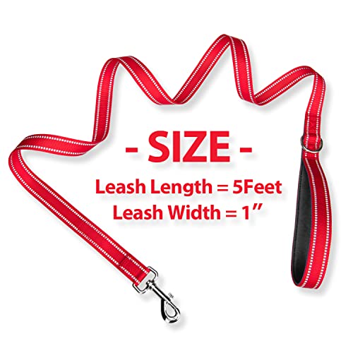 PHOEPET 5 Feet Dog Leash - Dual-Side Reflective - Soft Padded Handle - Fit for Walking, Training or Exploring Hiking, Camping (Red + Black Base) - color: Red + Black Base