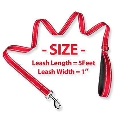PHOEPET 5 Feet Dog Leash - Dual-Side Reflective - Soft Padded Handle - Fit for Walking, Training or Exploring Hiking, Camping (Red + Black Base) - color: Red + Black Base